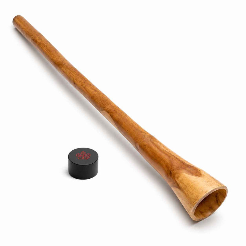 Didgeridoo aus Eukalyptus mit obertonreichem Klang