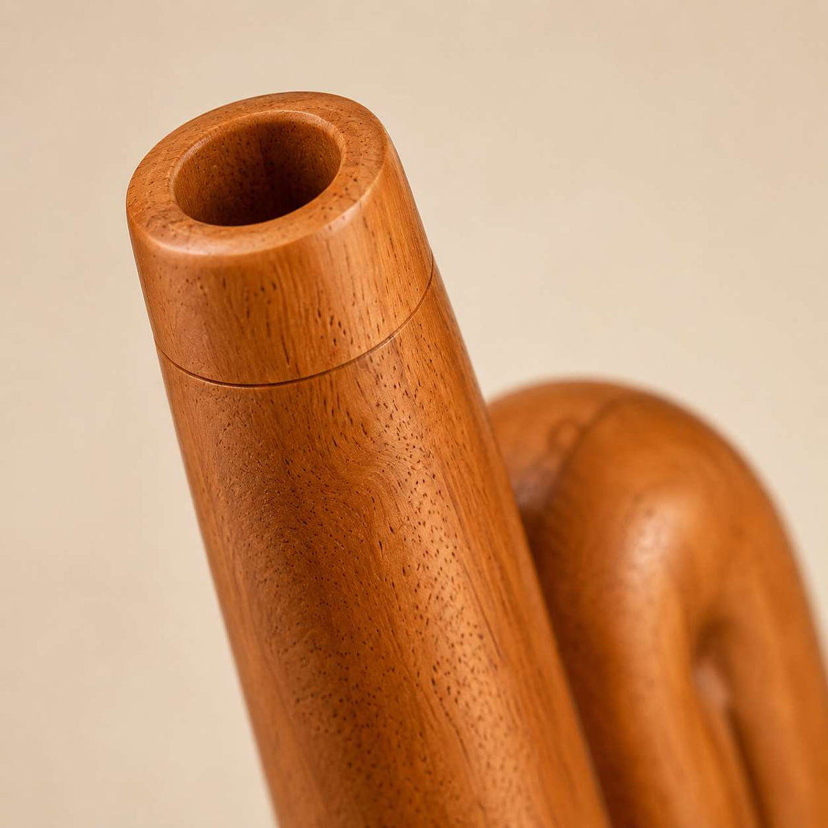 Z-Shape Didgeridoo en Mahogany - 64,3 cm